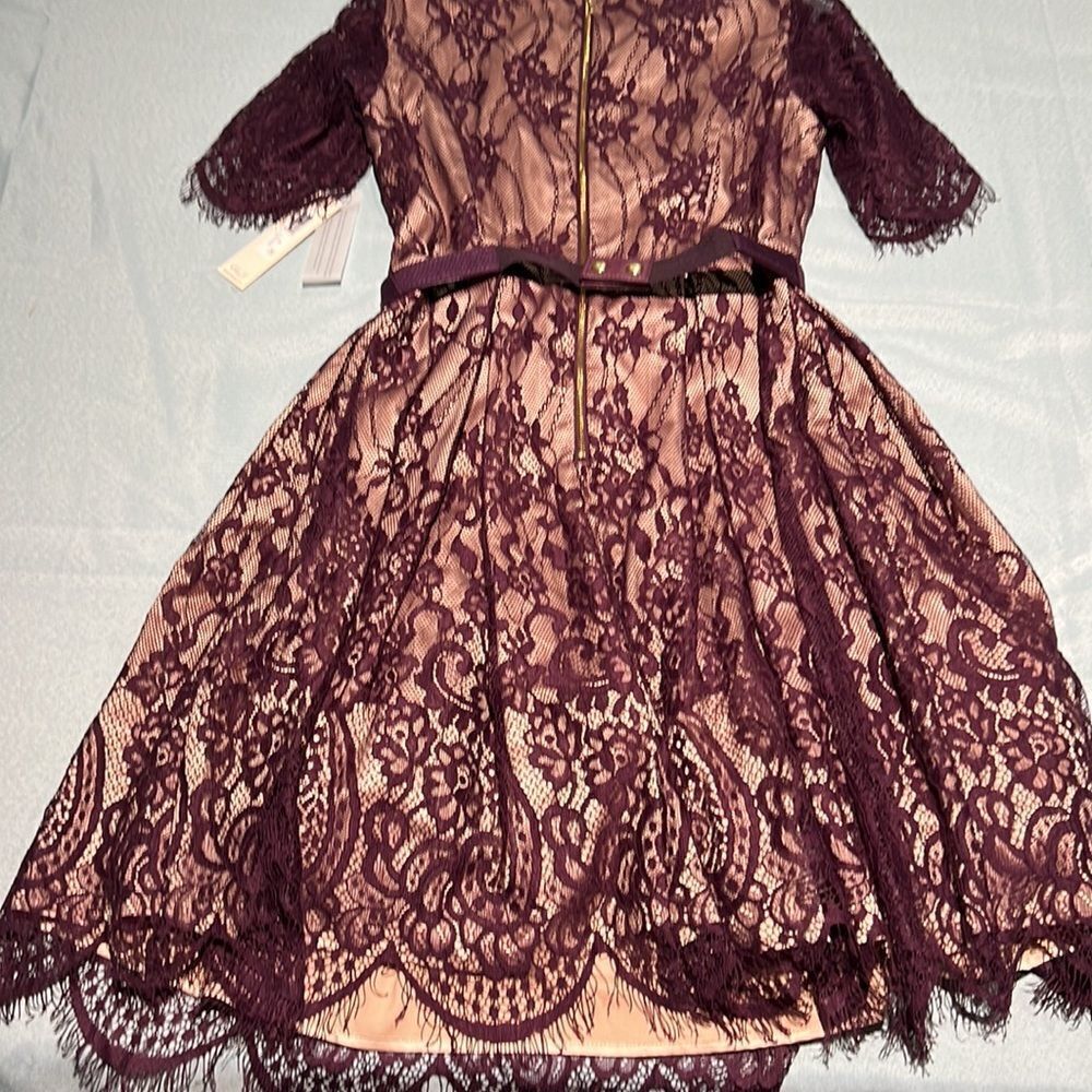 Eliza J. Lace Plum Cocktail Dress Size 6‎ D41 - Picture 11 of 13